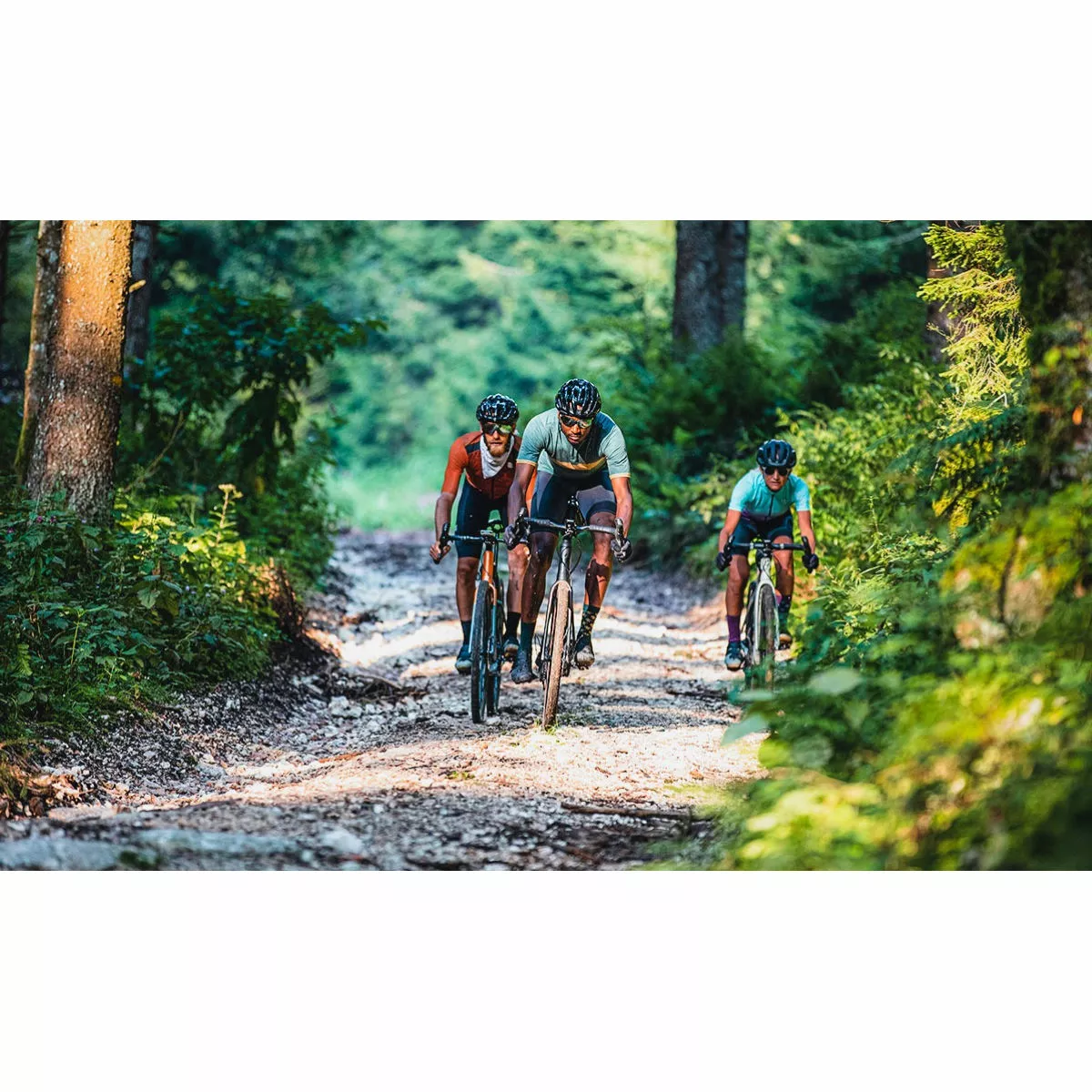 Campagnolo® Campagnolo Ekar AFS Spider Disc Brake Rotor - Image 13