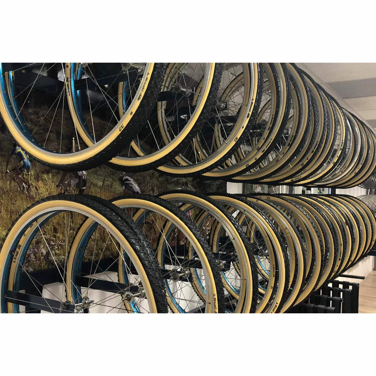 Dugast Pipisquallo Cotton Tyre - Image 8