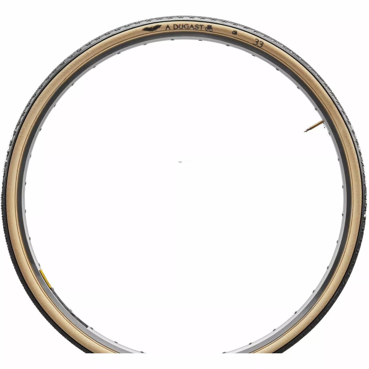 Dugast Pipisquallo Cotton Tyre - Image 2
