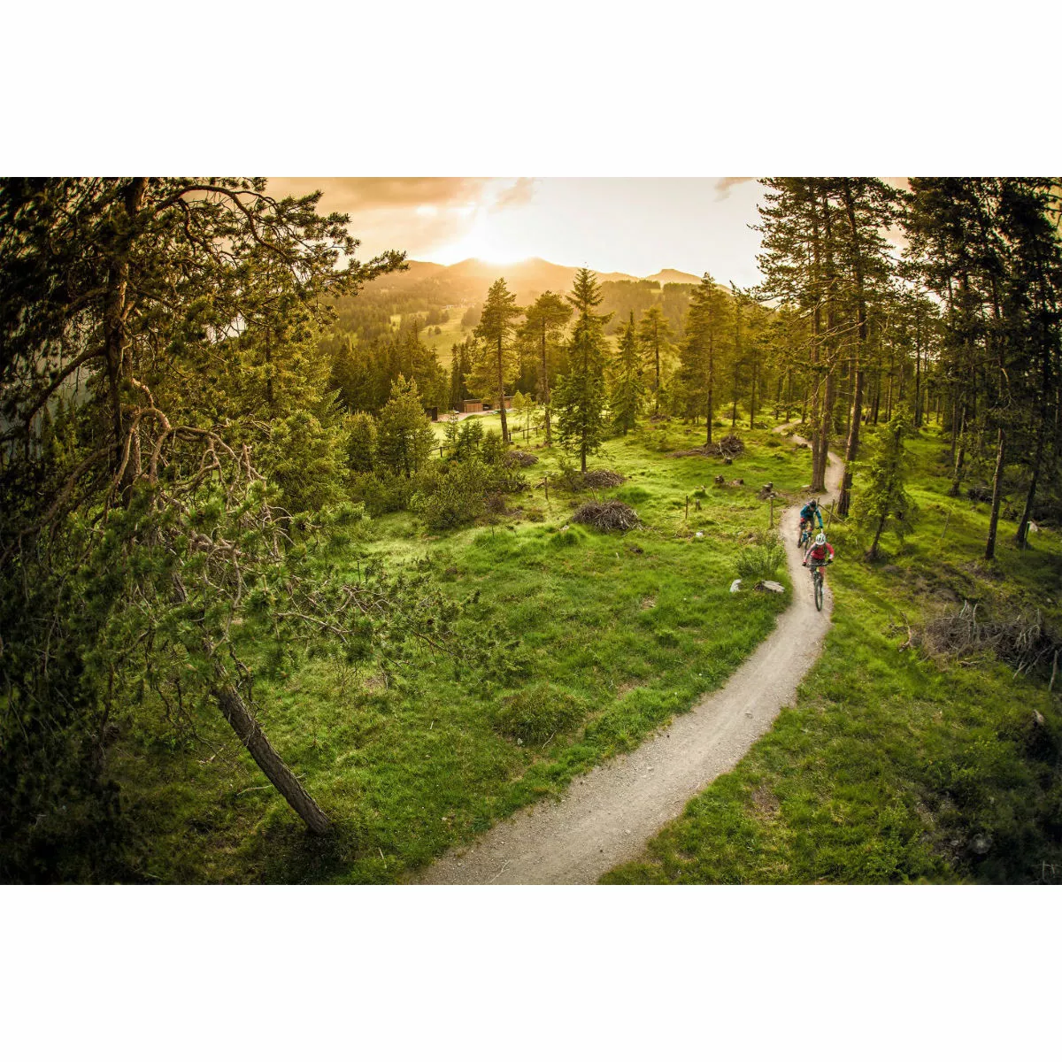 Ergon SMC Women's Saddle - Image 7