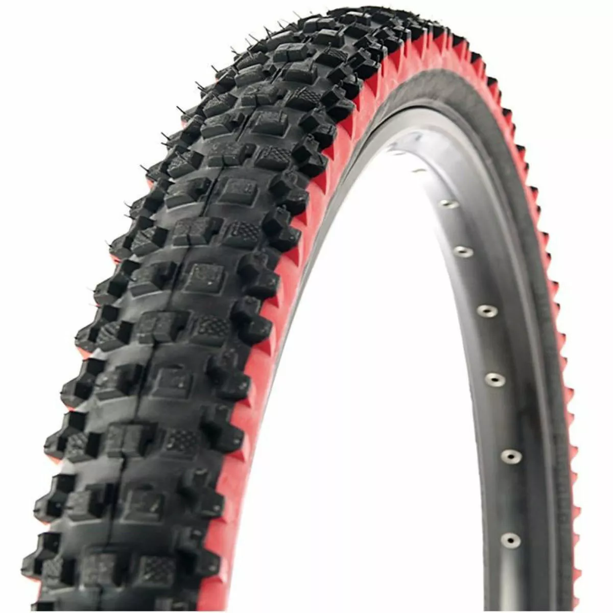 Panaracer Fire XC ASB Tyre